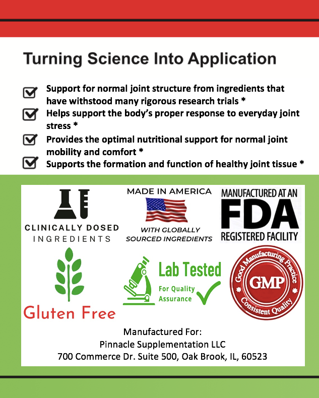 The Pinnacle Joint Support