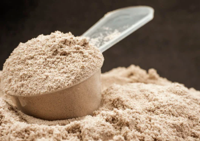 the absolute best protein powder
